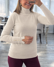 Load image into Gallery viewer, Ria soft knit roll neck
