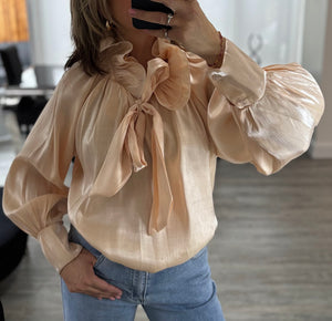 Shelley shimmer blouse